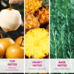 GEL DE DUCHA VICTORIA ANNA FLEURS CONSCIENT 650ML - Imagen 7