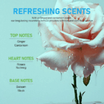 GEL DE DUCHA VICTORIA ANNA FOREVER LUXE 650ML - Imagen 6