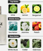 PERFUME MASCULINO MAISON ALHAMBRA JORGE DI PROFUMO AQUA EDP 100ML - Imagen 3