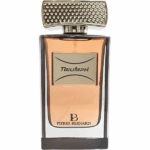 PERFUME MASCULINO PIERRE BERNARD TRIUMPH EDP 100ML - Imagen 2