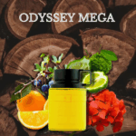 PERFUME MASCULINO ARMAF ODYSSEY MEGA EDP 100ML - Imagen 6