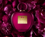 PERFUME FEMENINO ANTONIO BANDERAS HER SECRET TEMPTATION EDT 80ML - Imagen 7