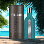 PERFUME MASCULINO VURV STELLAR POUR HOMME EDP 100ML - Imagen 3