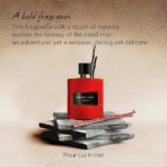 PERFUME MASCULINO MAUBOUSSIN POUR LUI IN RED EDP 100ML - Imagen 7