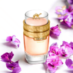 PERFUME FEMENINO EMPER LE CHAMEAU ARABIA MADAME EDP 100ML - Imagen 4