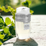 PERFUME MASCULINO EMPER LE CHAMEAU ARABIA SILVER VETIVER EDP 100ML - Imagen 4