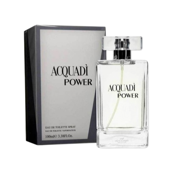 POWER.. PERFUME MASCULINO ACQUADI POWER EDT 100ML - Imagen 1