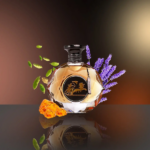 PERFUME MASCULINO AURORA SCENTS PHARAOH EDP 100ML - Imagen 3