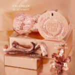 PERFUME FEMENINO POLICE RICH GIRL FOR WOMAN EDP 100ML - Imagen 3