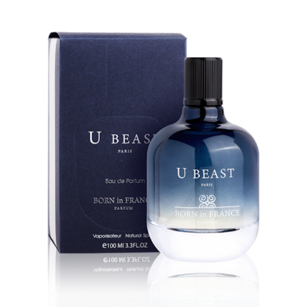 PERFUME MASCULINO BORN IN FRANCE U BEAST EDP 100ML