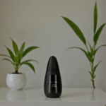 PERFUME MASCULINO PINO SILVESTRE BLACK FOREST EDT 125ML - Imagen 4