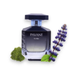 PERFUME MASCULINO ELODIE ROY PAVANE EDP 100ML - Imagen 3