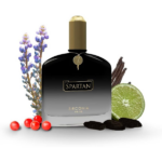 PERFUME MASCULINO ZIRCONIA PRIVÉ SPARTAN EDP 100ML - Imagen 3