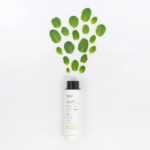TÓNICO FACIAL BELIF BERGAMOT HERBAL 200ML - Imagen 4