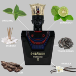 PERFUME MASCULINO BHARARA PHARAOH RAMESSES II EDP 100ML - Imagen 4