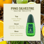 PERFUME MASCULINO PINO SILVESTRE ORIGINAL EDT 125ML - Imagen 3