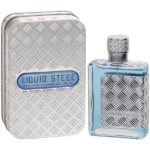 PERFUME MASCULINO LINN YOUNG LIQUID STEEL EDT 100ML