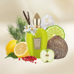 PERFUME UNISEX XERJOFF AMABILE EDP 100ML - Imagen 3
