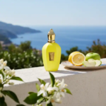 PERFUME UNISEX XERJOFF AMABILE EDP 100ML - Imagen 4