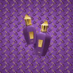 PERFUME UNISEX XERJOFF MUSE EDP 100ML - Imagen 4