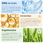 MÁSCARA FACIAL MOND'SUB PDRN GEL CHEEK - Imagen 3