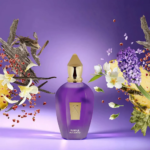 PERFUME UNISEX XERJOFF PURPLE ACCENTO EDP 100ML - Imagen 3