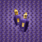 PERFUME UNISEX XERJOFF ACCENTO EDP 50ML - Imagen 4