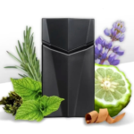 PERFUME MASCULINO ANIMALE SEDUCTION EDT 100ML - Imagen 3